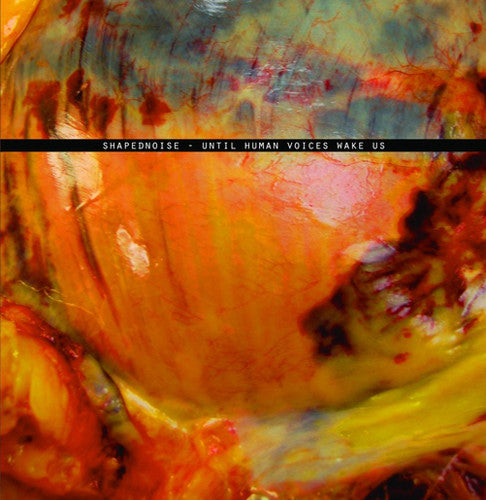 the album cover for Shapednoise - Until Human Voices Wake Us