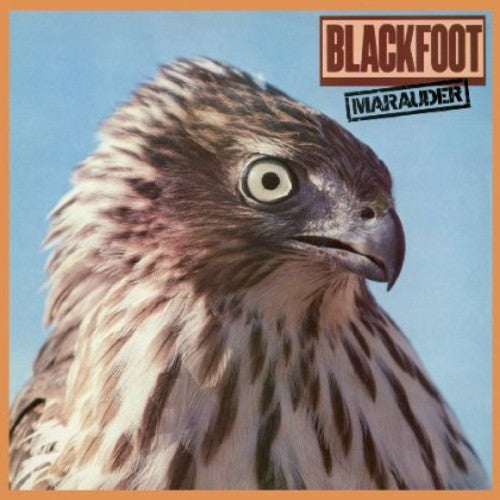 the album cover for Blackfoot - Marauder