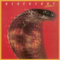 the album cover for Blackfoot - Strikes