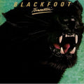 the album cover for Blackfoot - Tomcattin