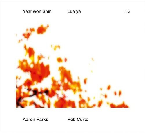 the album cover for Yeahwon Shin - Lua Ya
