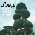 the album cover for Lake - World Is Real [Download Included]