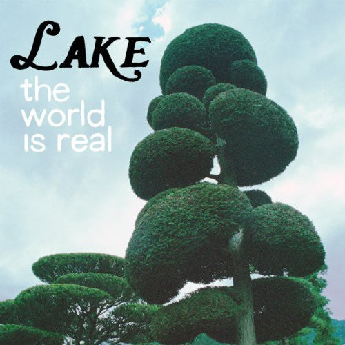 the album cover for Lake - World Is Real [Download Included]