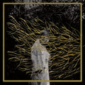 the album cover for Forest Swords - Engravings [Vinyl]