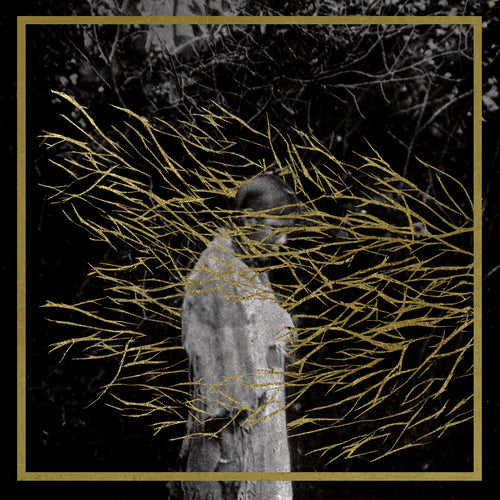 the album cover for Forest Swords - Engravings [Vinyl]