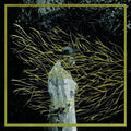 the album cover for Forest Swords - Engravings