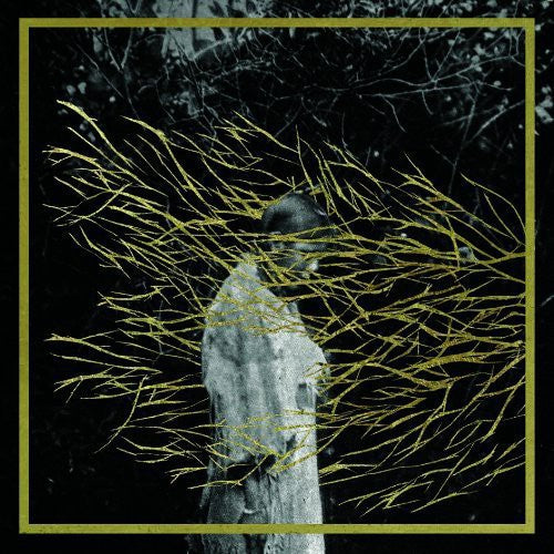 the album cover for Forest Swords - Engravings