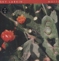 the album cover for Sky Larkin - Motto