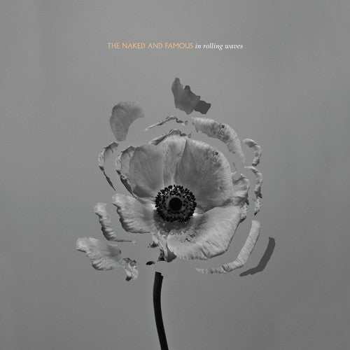 the album cover for The Naked And Famous - In Rolling Waves