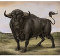 the album cover for San Fermin - San Fermin