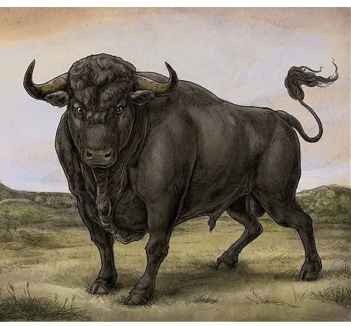 the album cover for San Fermin - San Fermin