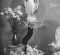 the album cover for Jesu - Everyday I Get Closer to the Light From Which I Came [Vinyl]