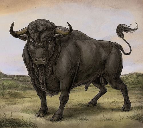 the album cover for San Fermin - San Fermin [Vinyl]