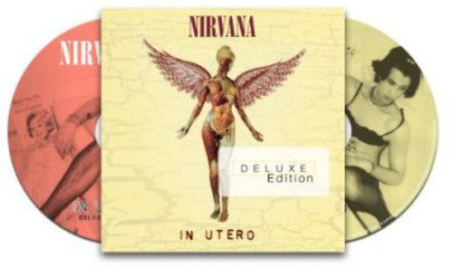 the album cover for Nirvana - In Utero: 20th Anniversary [Deluxe]