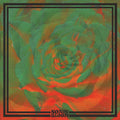 the album cover for Night Beats - Sonic Bloom