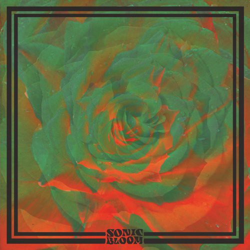 the album cover for Night Beats - Sonic Bloom