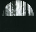 the album cover for Cult Of Luna - Vertikal II