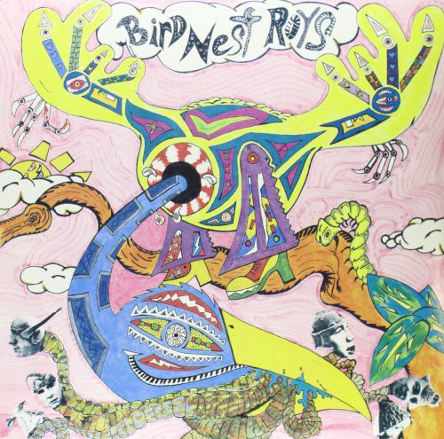 the album cover for Bird Nest Roys - Compilation