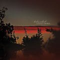 the album cover for Darshan Ambient - Little Things