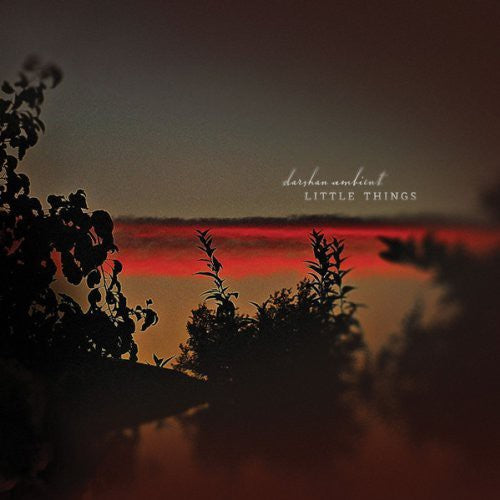 the album cover for Darshan Ambient - Little Things