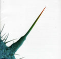 the album cover for Peter Gabriel - And I'll Scratch Yours
