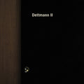 the album cover for Marcel Dettmann - Dettmann II