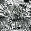 the album cover for Fulmination - Humanity's Dirge
