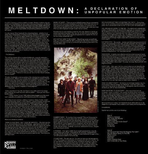 the album cover for Jail Weddings - Meltdown / A Declaration Of Unpopular Emotion