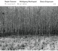 the album cover for Ralph Towner - Travel Guide