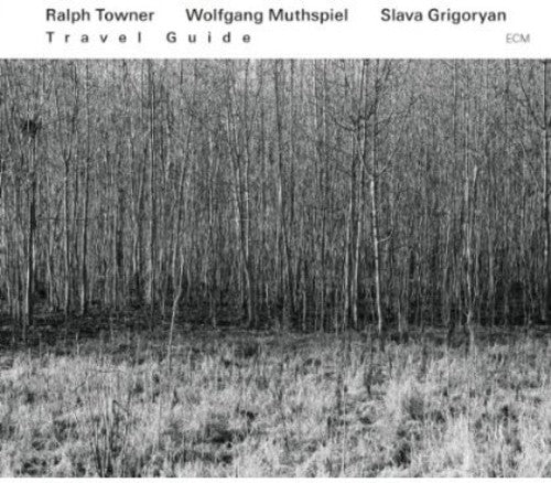 the album cover for Ralph Towner - Travel Guide