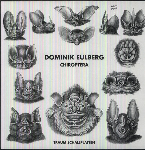 the album cover for Dominik Eulberg - Chiroptera