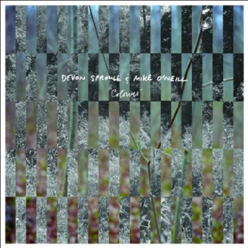 the album cover for Devon Sproule - Colours