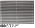 the album cover for Oddisee - The Beauty In All