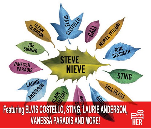 the album cover for Steve Nieve - Together