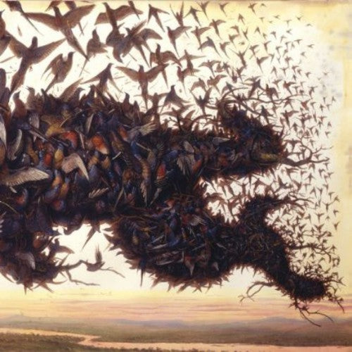 the album cover for Kiev - Falling Bough Wisdom Teeth