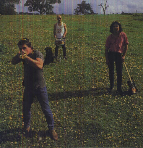 the album cover for Cosmic Psychos - Down on the Farm
