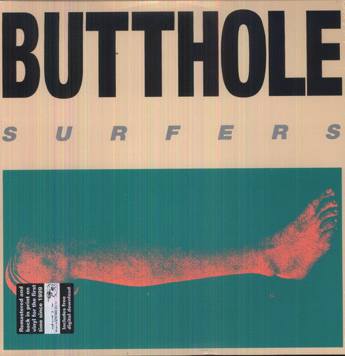 the album cover for Butthole Surfers - Rembrandt Pussyhorse [Vinyl]
