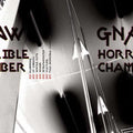 the album cover for Gnaw - Horrible Chamber