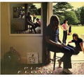 the album cover for Unknown Artist - Ummagumma