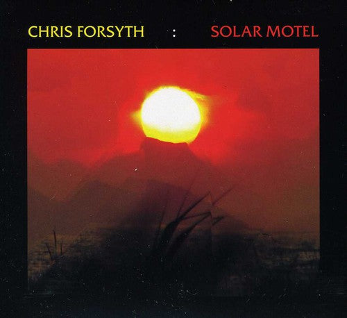 the album cover for Chris Forsyth - In Search