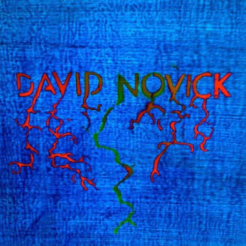the album cover for David Novick - David Novick