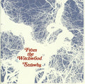 the album cover for Strawbs - From The Witchwood (Bonus Tracks) (Ger) [Remastered]