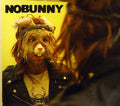 the album cover for Nobunny - Secret Songs: Reflections from the Ear Mirror