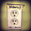 the album cover for Carly Jamison - Ungrounded