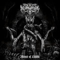 the album cover for Necrophobic - Womb of Lilithu