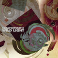the album cover for 65daysofstatic - Wild Light