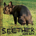 the album cover for Seether - Seether: 2002-2013