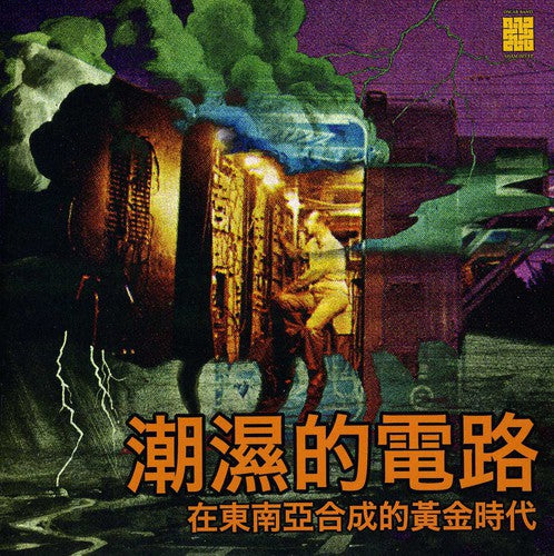 the album cover for Young Oscar Band - Damp Circuits: The Golden Era of Synthesizers in 1