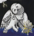 the album cover for SongsOhia - Magnolia Electric Company Co