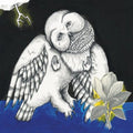 the album cover for SongsOhia - Magnolia Electric Company Co
